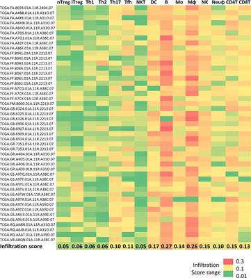 Diffuse large B-cell lymphoma microenvironment displays a predominant macrophage infiltrate marked by a strong inflammatory signature